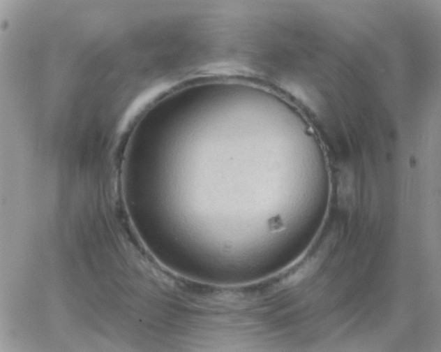 X0000065241358200602242014