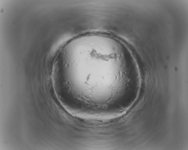 X0000065241359200602242014