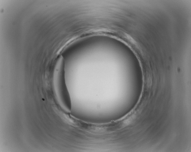 X0000065241361200602242014