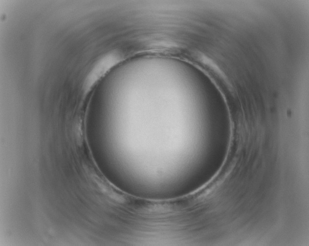 X0000065241362200602242014