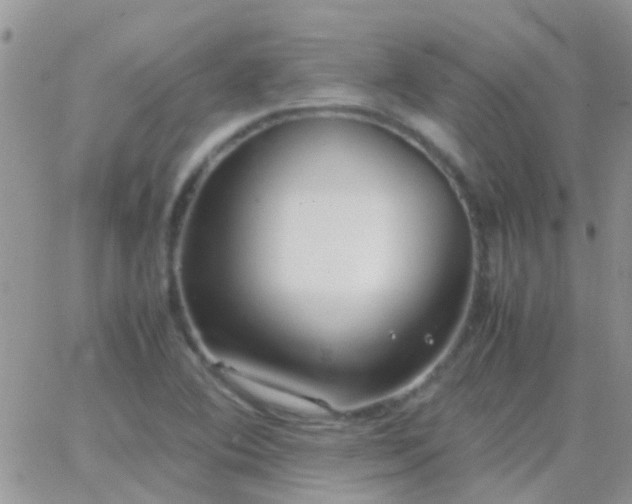 X0000065241364200602242014