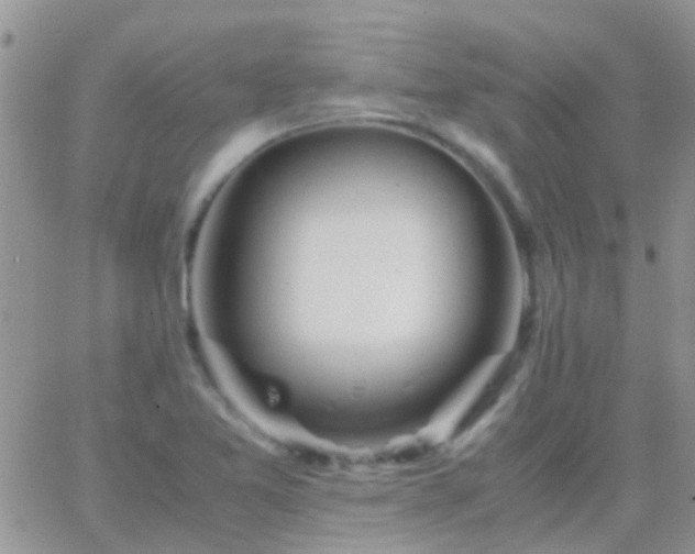 X0000065241365200602242014