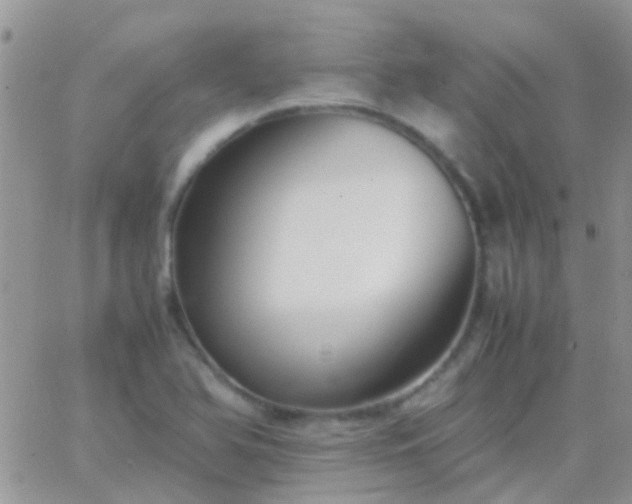 X0000065241366200602242014