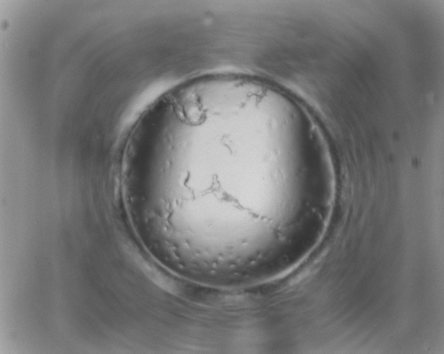 X0000065241367200602242014