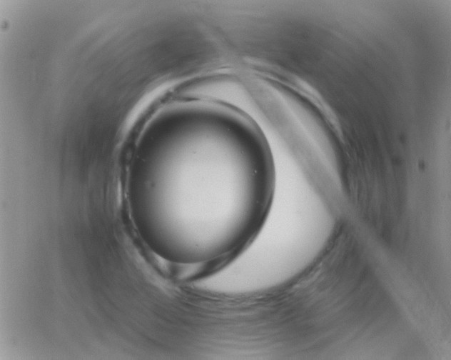 X0000065241368200602242014