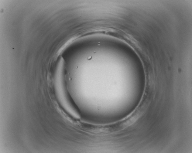 X0000065241369200602242014