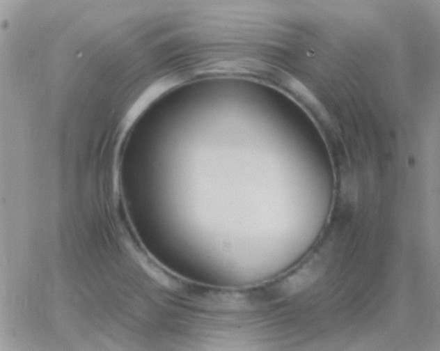 X0000065241370200602242014