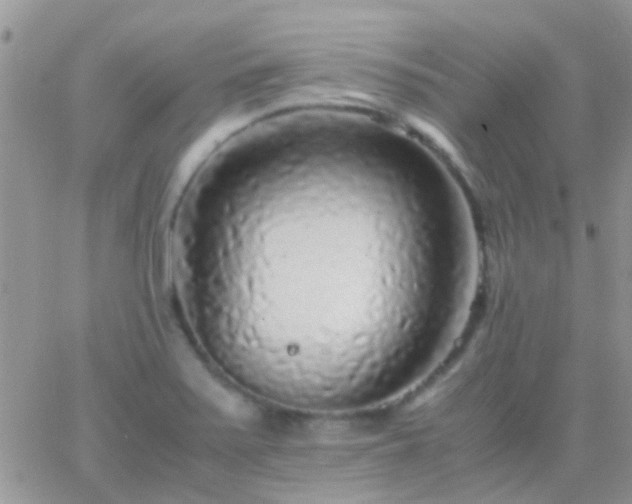 X0000065241371200602242014