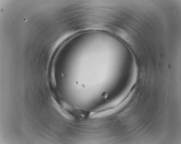 X0000065241372200602242014