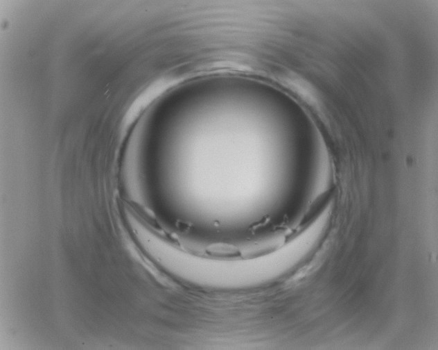 X0000065241373200602242014