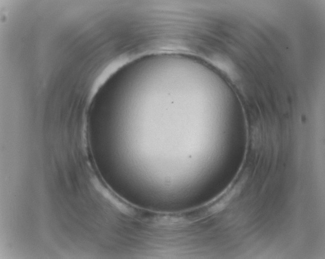 X0000065241374200602242014