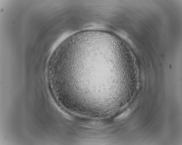 X0000065241375200602242014