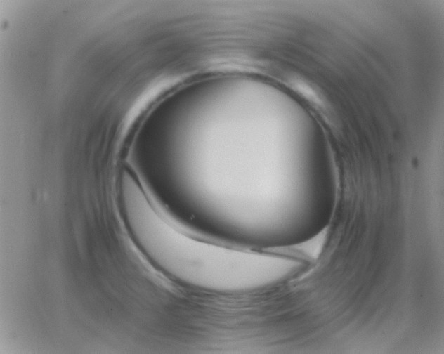 X0000065241376200602242014