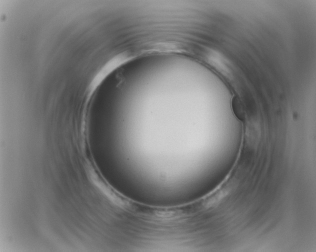 X0000065241378200602242014