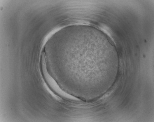 X0000065241379200602242014