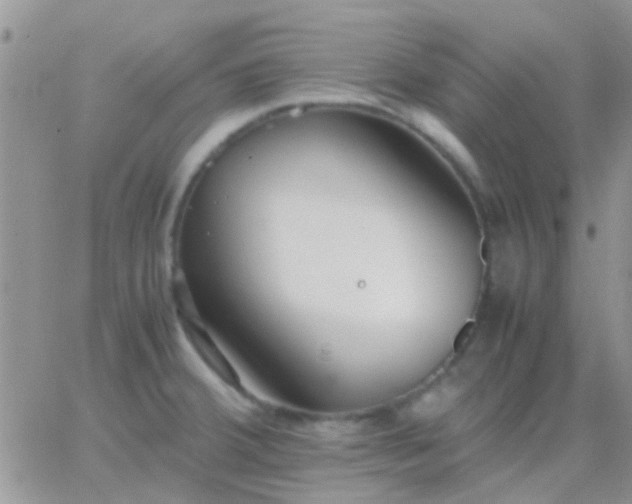 X0000065241380200602242014