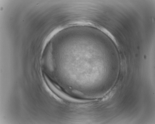 X0000065241381200602242014