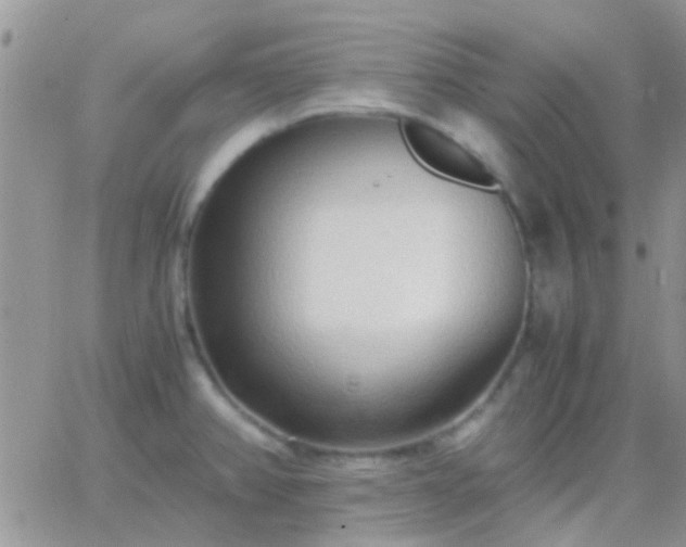 X0000065241382200602242014