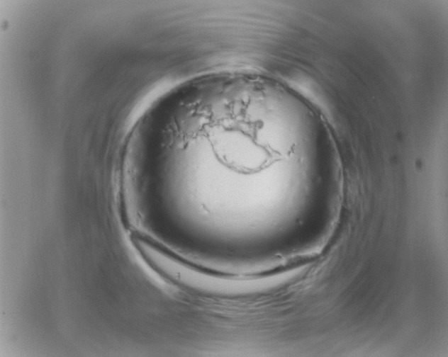 X0000065241383200602242014