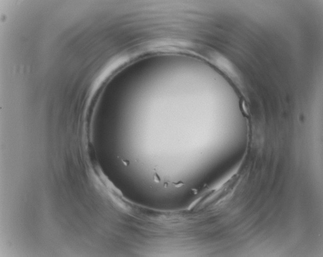 X0000065241384200602242014