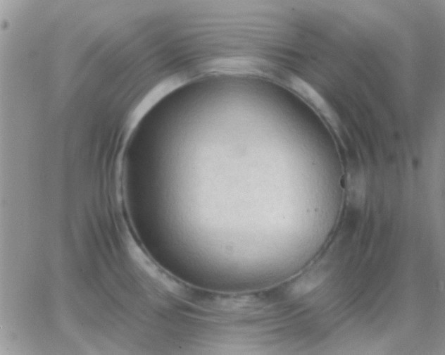 X0000065241386200602242014