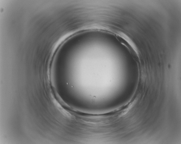 X0000065241388200602242013