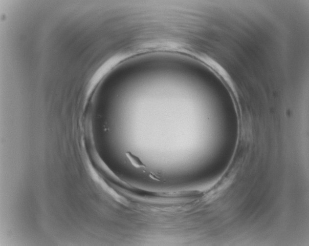 X0000065241389200602242013