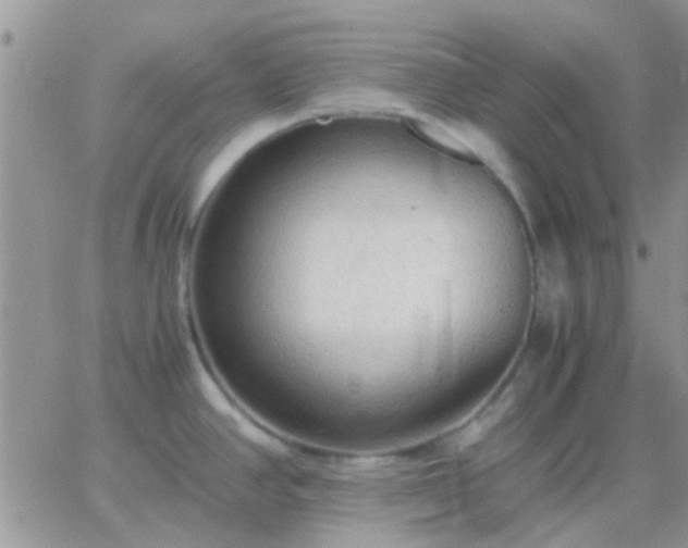 X0000065241390200602242013