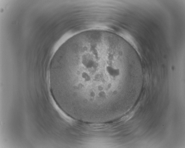 X0000065241391200602242013