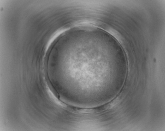 X0000065241392200602242013