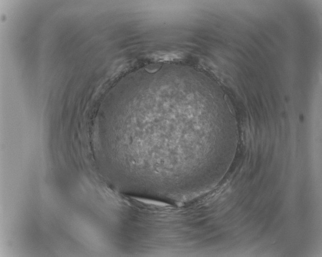 X0000065241393200602242013