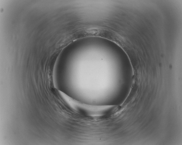 X0000065241394200602242013