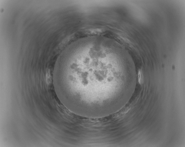 X0000065241395200602242013