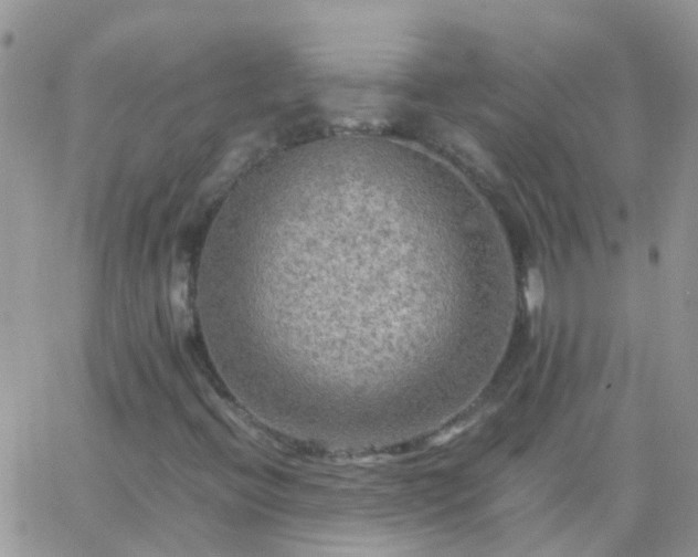 X0000065241396200602242013