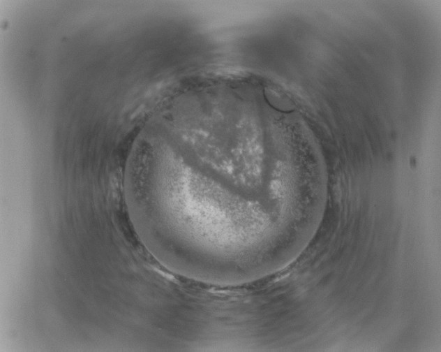 X0000065241397200602242013