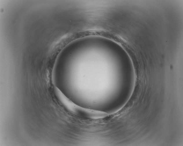 X0000065241398200602242013