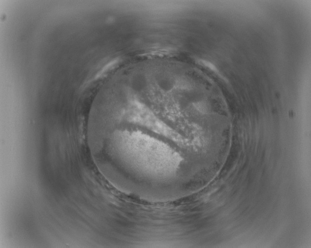 X0000065241399200602242013