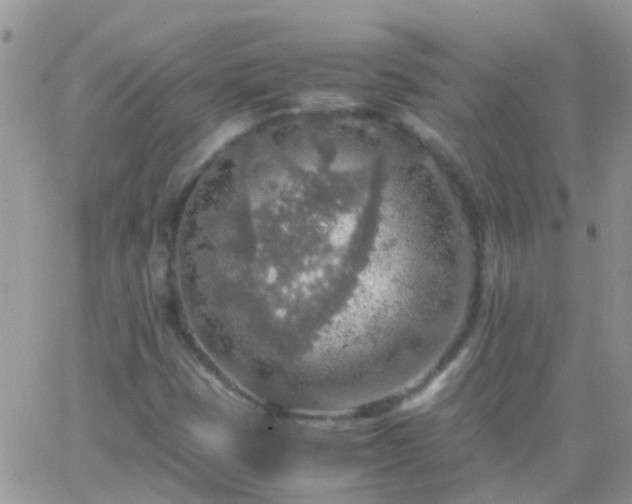 X0000065241401200602242013