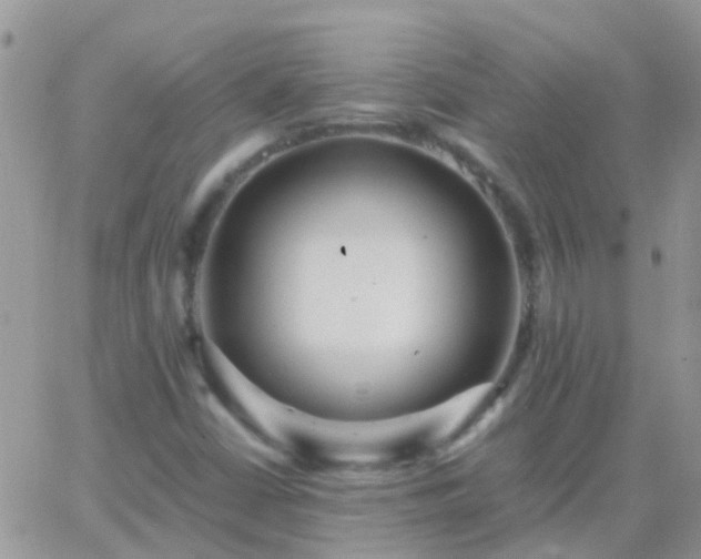 X0000065241402200602242013