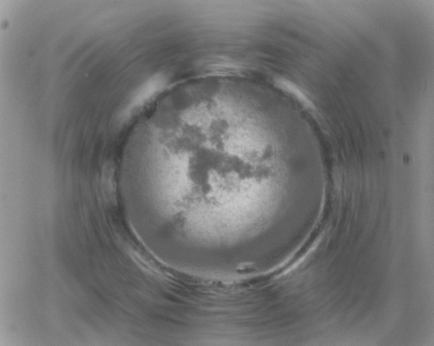 X0000065241403200602242013