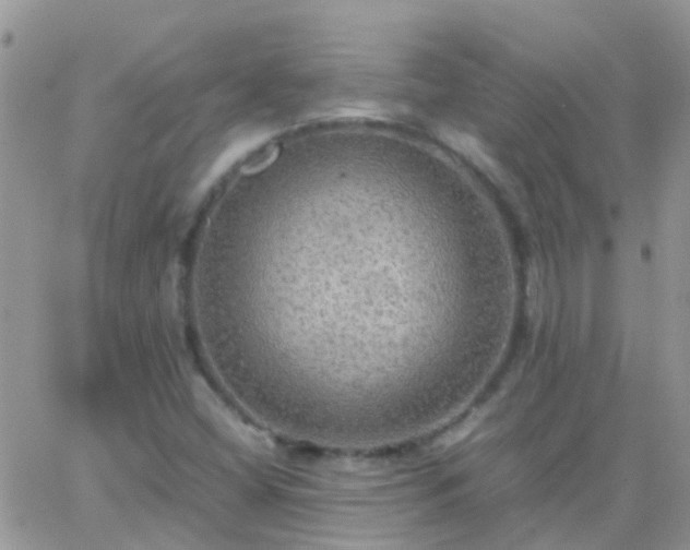 X0000065241404200602242013