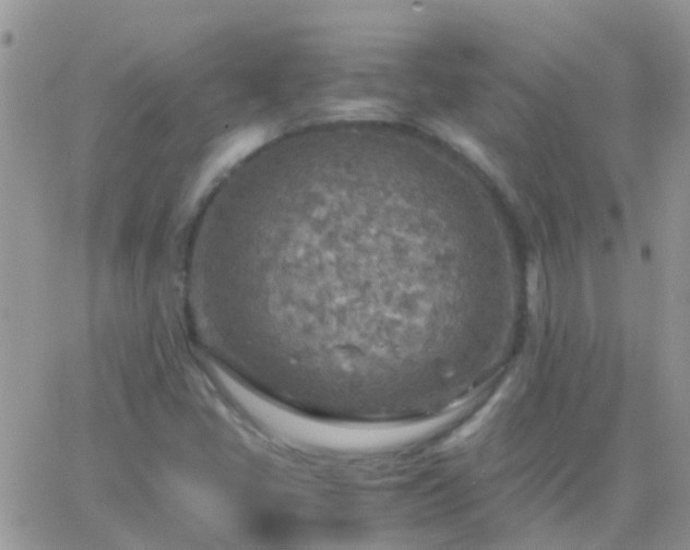 X0000065241405200602242013