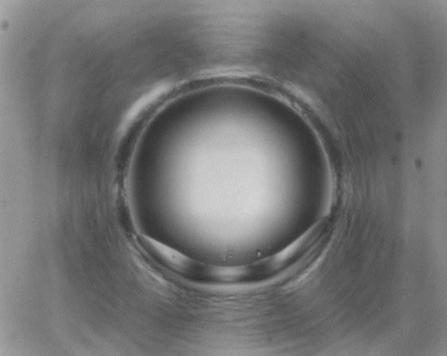 X0000065241406200602242013