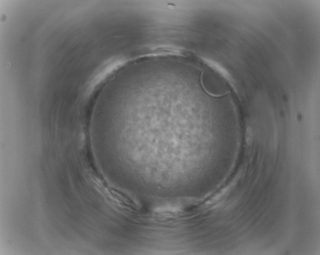 X0000065241407200602242013