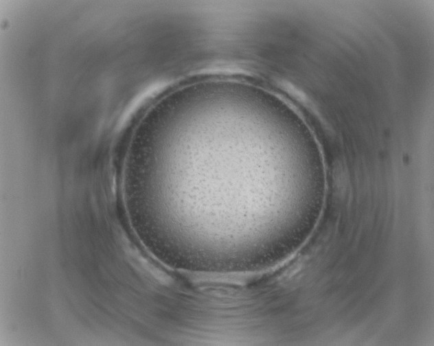 X0000065241408200602242013