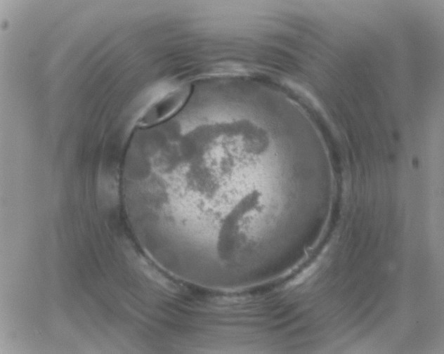 X0000065241409200602242013