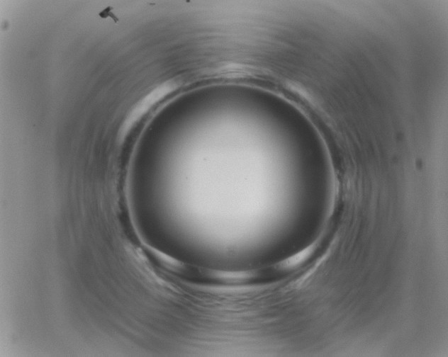 X0000065241410200602242013