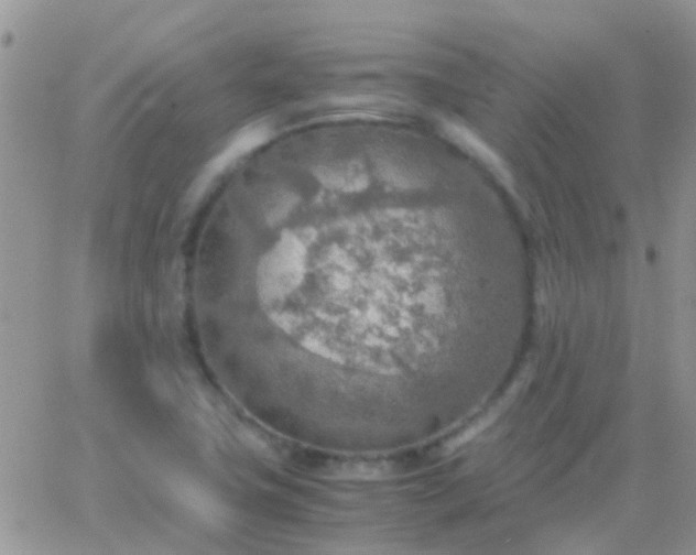 X0000065241411200602242013