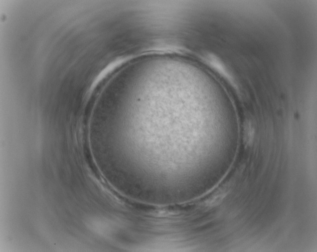 X0000065241412200602242013