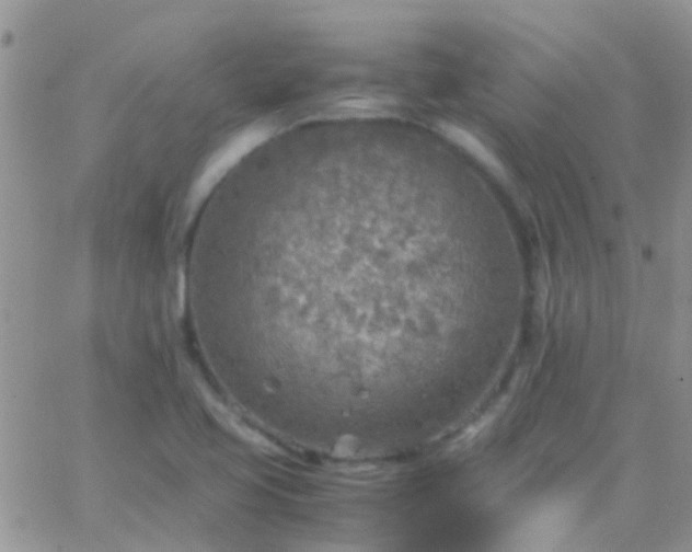 X0000065241413200602242013